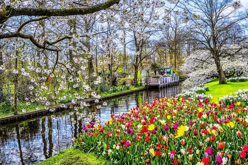 Keukenhof park of flowers and tulips in the Netherlands.